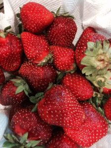 organic Strawberries