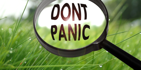 5 Crucial Bone Health Strategies In Midlife - magnifying glass saying don't panic