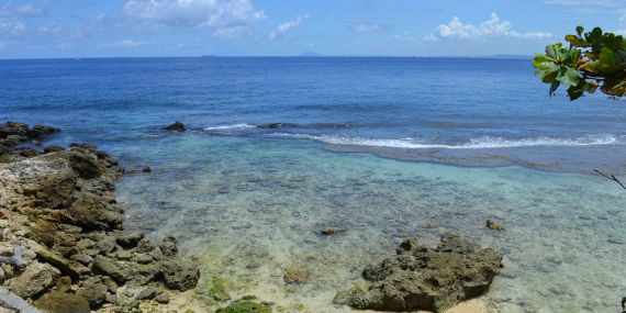 blue ocean - Longevity Secrets Inspired by the Blue Zones