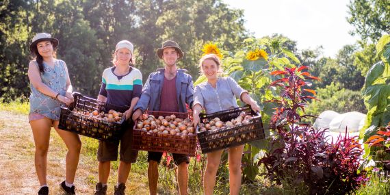 a group people gathering vegetables -Longevity Secrets Inspired by the Blue Zones
